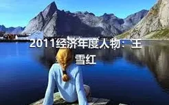 2011经济年度人物：王雪红