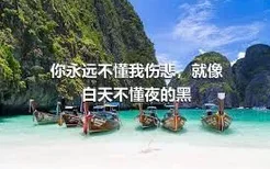 你永远不懂我伤悲，就像白天不懂夜的黑