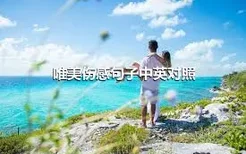 唯美伤感句子中英对照