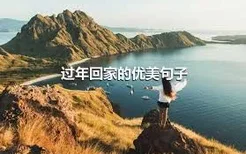 过年回家的优美句子