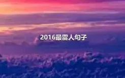 2016最雷人句子