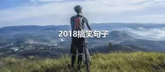 2018搞笑句子