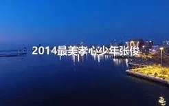 2014最美孝心少年张俊